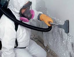 Mold Remediation for Vacation Homes in Otsego, MI